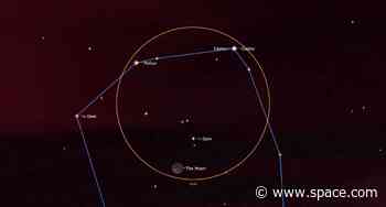 The moon, Venus, Mars and bright stars shine in a summer celestial gathering this week. Here's how to see it.
