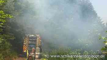 Gefahr steigt: Kreis Calw in zweithöchster Waldbrandstufe