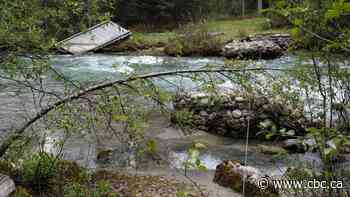 Why Jasper National Park isn't replacing some backcountry bridges after they're washed away