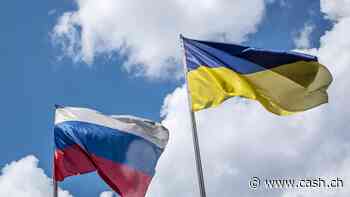 Russischer Statthalter: Ukraine nimmt Ort an Saporischschja-Front ein