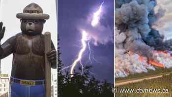 Here's how wildfires are starting: experts answer your questions