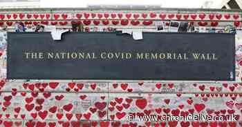 Families who lost loved ones to Coronavirus 'sickened' by new Partygate video