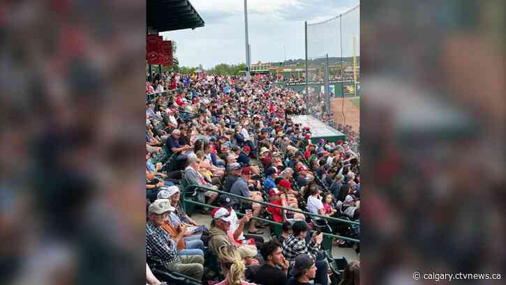 Dawgs stay hot, rolling over Lethbridge Bulls 12-2