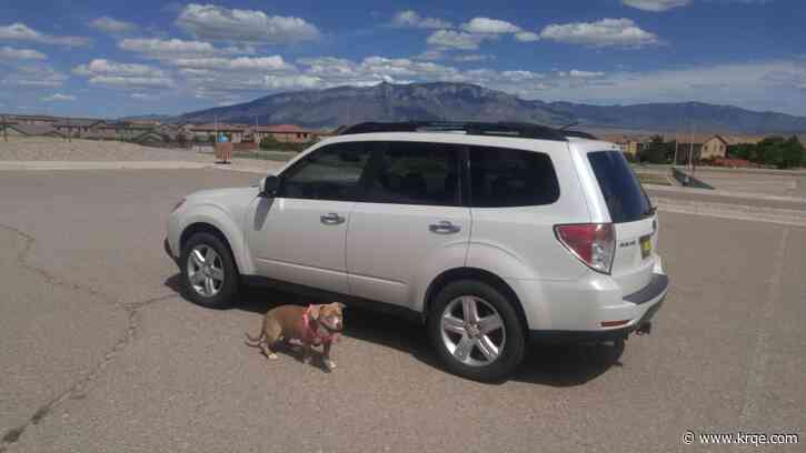 Albuquerque DoorDash driver's car stolen with his dog inside