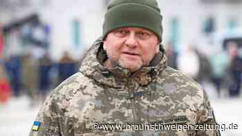 Ukraine: So plant General Saluschnyj die Gegenoffensive