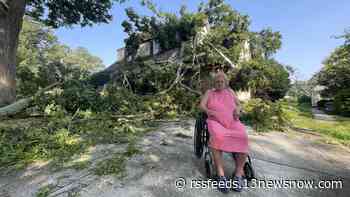 Massive tree smashes into Hampton family’s home during Friday's storm, destroying roof