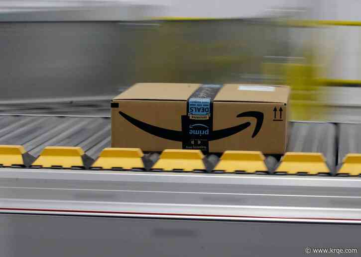 Inside the black box of Amazon returns