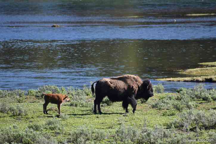 The mystery of missing persons in America's National Parks