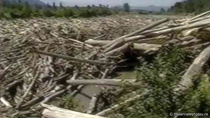 Co-Management Agreement between Province and Shxw’ōwhámél First Nation for continued operation of Fraser River Debris Trap