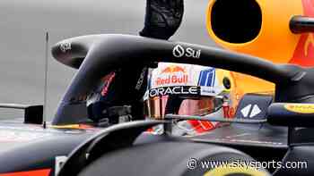 Verstappen: Bird was stuck on my car for most of Canadian GP win