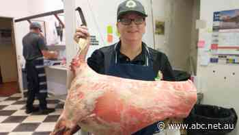 Vicky started her apprenticeship 'in a man's world' at age 35, and hasn't looked back since