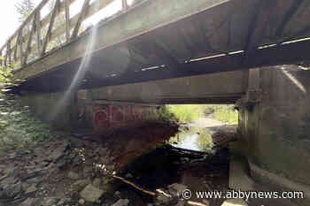 Little Campbell River salmon relocated on Langley, South Surrey border