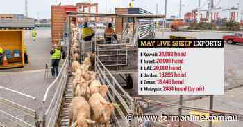 Live sheep exports get May boost