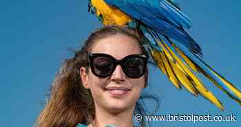 'Our giant parrots are messy pets but we love them - we take them for daily walks'