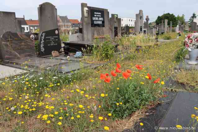 Zwerfvuil , laagvliegers en gebrekkig onderhoud kerkhof: “Burgers klagen dus moeten we een versnelling hoger schakelen”
