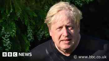 Boris Johnson: Rishi Sunak refuses to say if he will vote on Partygate report