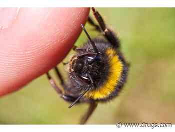 This Summer, Know Your Risk for Insect Sting Allergy