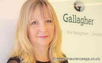 Gallagher NED chair Sue Langley awarded a Damehood