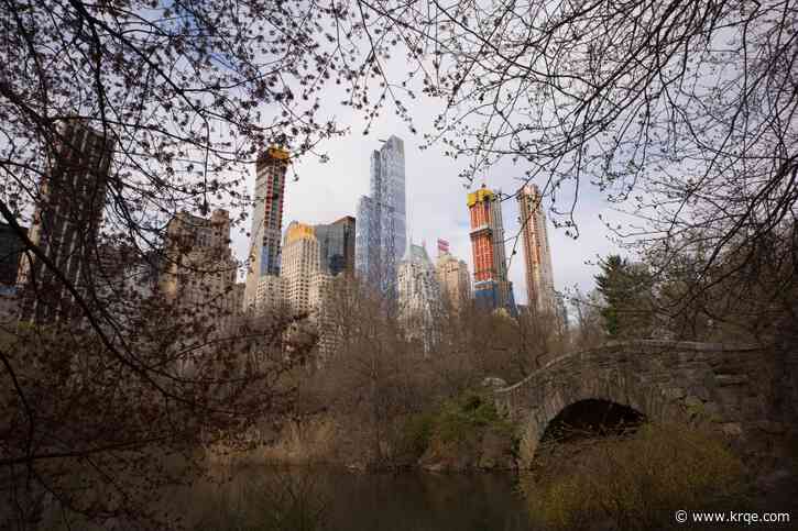 Man stabs pit bull to death in Central Park after argument between dog walkers