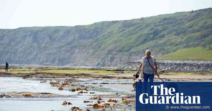 UK urged to protect environmental standards when EU laws scrapped