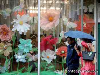 Edmonton weather: Over fifty millimeters of rain in last 24 hours