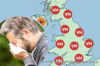 Met Office warns north west over 'very high' pollen