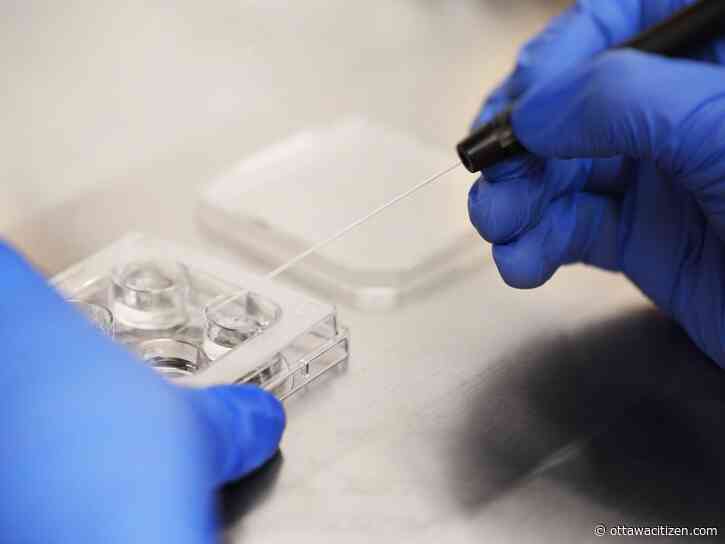 Keegan and Kirschbaum: The law isn't keeping up with assisted human reproduction