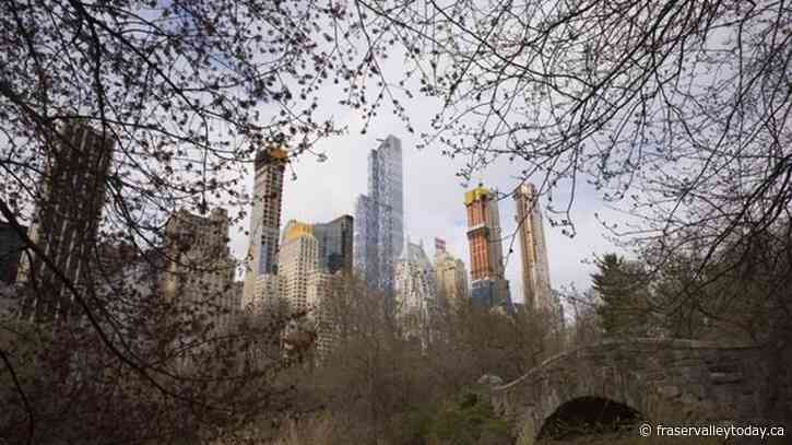 Man stabs pit bull to death in Central Park after argument between dog walkers