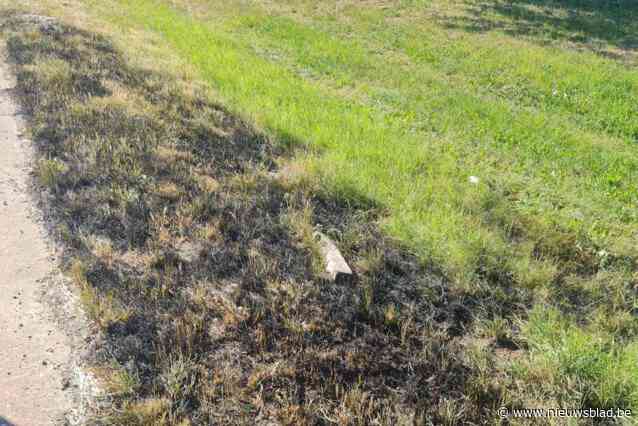 Brandweer rukt uit voor bermbrand