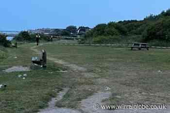 Four arrested after teenage boy stabbed in Caldy