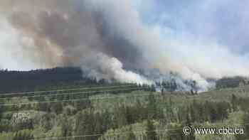 New support group in Sask. for people who have what's known as 'eco anxiety'