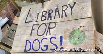 Two new dog libraries opening in Hull area 'to spread a bit of joy'