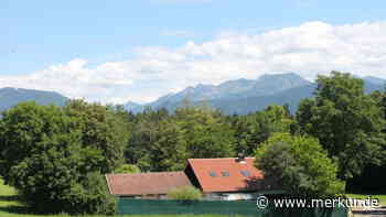 Füssen: Wie viel darf Tierschutz kosten?