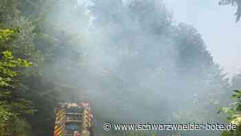 Feuer im Wald in Calw: Polizei ermittelt: War es Brandstiftung?