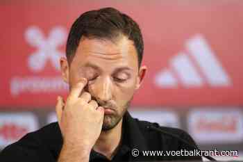 Geschokte Tedesco geeft meer uitleg over 'geval Courtois': &quot;Elke speler die hier is moet willen vechten voor zijn land&quot;