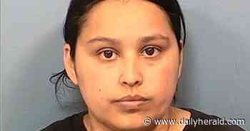 Roselle woman charged with animal cruelty; 12 dogs seized by county