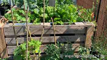 DIY-Anleitung in fünf Schritten - so klappt es mit dem eigenen Hochbeet