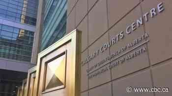 TikTok video, explosive-making instructions at centre of Calgarian's terrorism charges: court docs