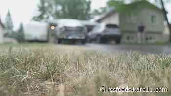 Advice for keeping your lawn healthy in the heat