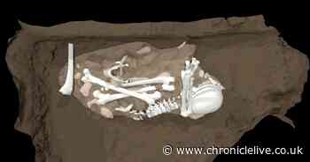 Northumbria University forensic scientist uncovers earliest known example of burials among human ancestors