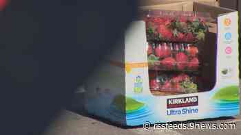 Lack of funding jeopardizes Montbello food bank