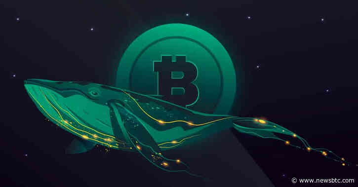 Bitcoin Whale Removes Nearly $400 million In BTC From Binance