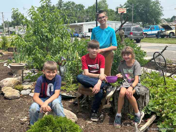 Planting curbside garden was an "act of anarchy," but it's turned into a sensation on NextDoor