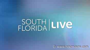 WATCH LIVE: South Florida Live