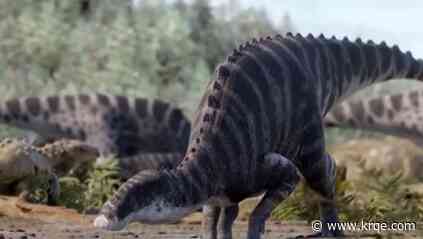 New dinosaur discovered in Chile