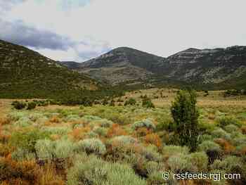 Republicans from Western states attack public lands plan in heated U.S. House hearing