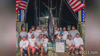 Big Rock Blue Marlin Tournament anglers miss out on $3M prize, disqualified because of 'mutilation'