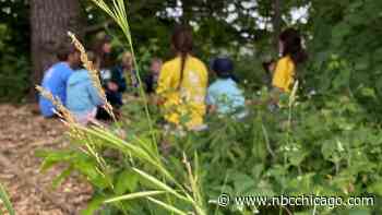 Group aims to get kids off their screens and into nature