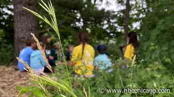 What is forest therapy? Group aims to get kids off their screens and into nature