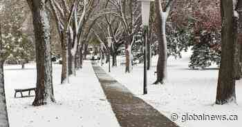 Snow-clearing plans could ‘trap’ Edmontonians with disabilities, advocate says